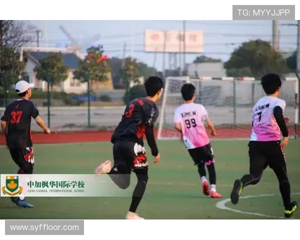 西安飞盘队实力提升引发热议展现新风貌与竞技潜力